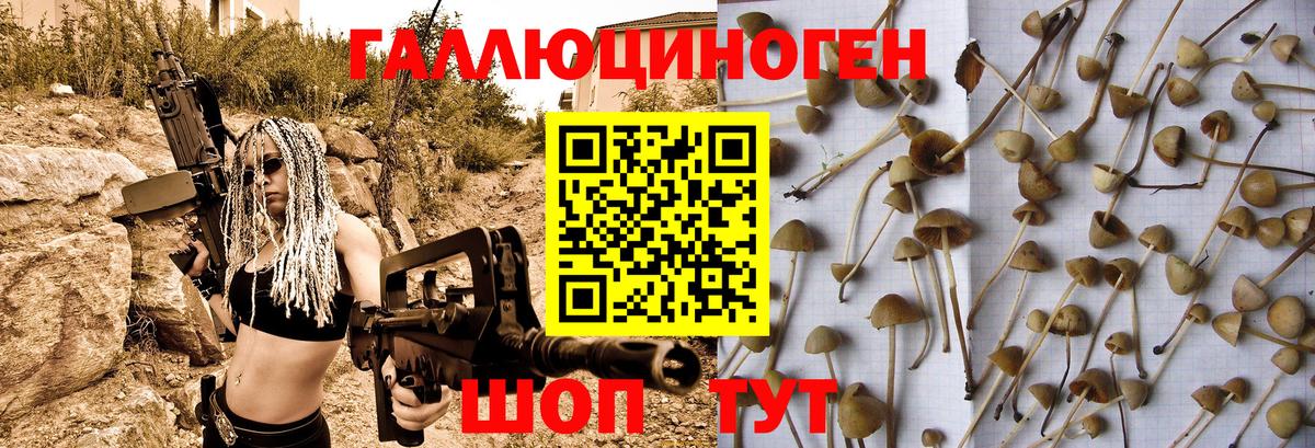 Галлюциногенные грибы Psilocybe  Галлюциногенные грибы мухоморы  Вход с VPN  Черногорск 